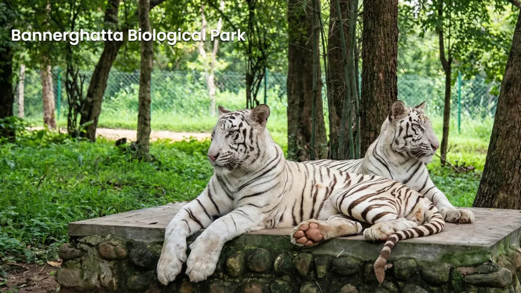 Bannerghatta Biological Park