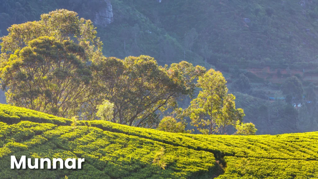 Munnar