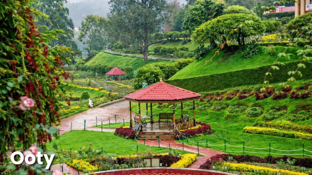 Ooty