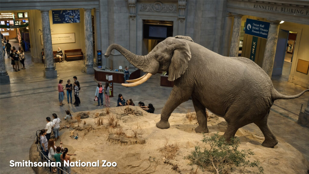 Smithsonian-National-Zoo