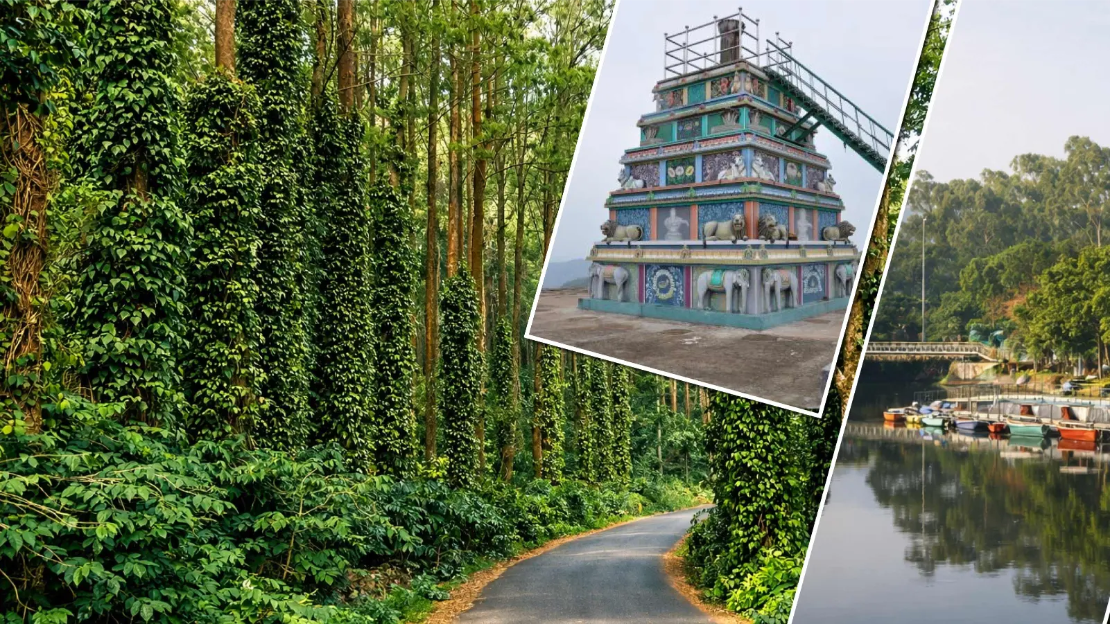 Yercaud Tourist Places: Best Places to Visit in Yercaud & Things to Do