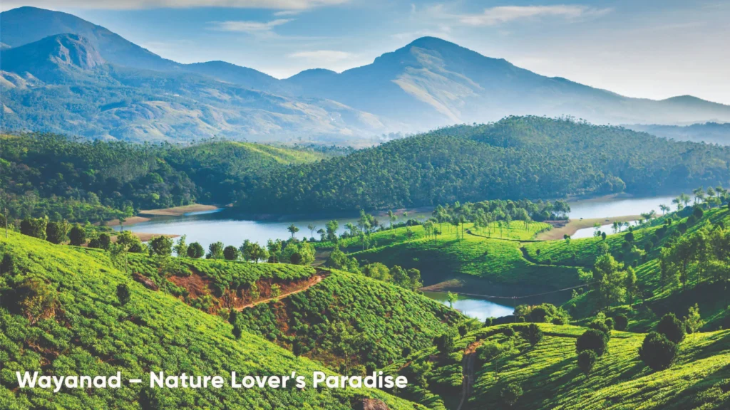 Wayanad – Nature Lover’s Paradise